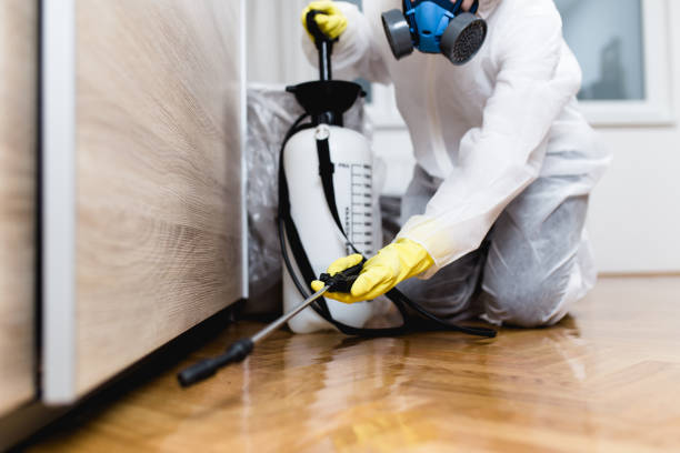 Pest Prevention Services in Lake Riverside, CA