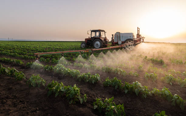 Best Pest Prevention Services  in Lake Riverside, CA