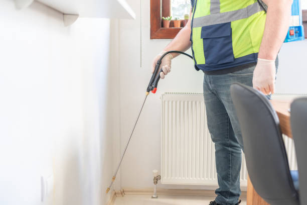 Best Rat Extermination Near Me  in Lake Riverside, CA