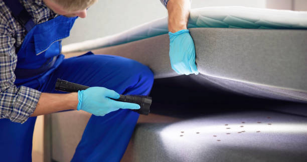 Best Best Pest Control Companies  in Lake Riverside, CA