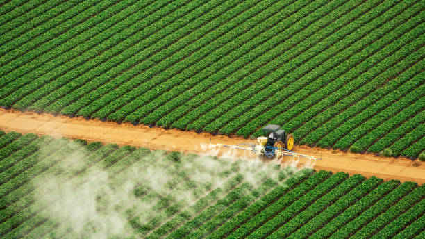 Best Pest Control Cost  in Lake Riverside, CA
