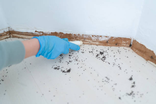 Pest Control Cost in Lake Riverside, CA