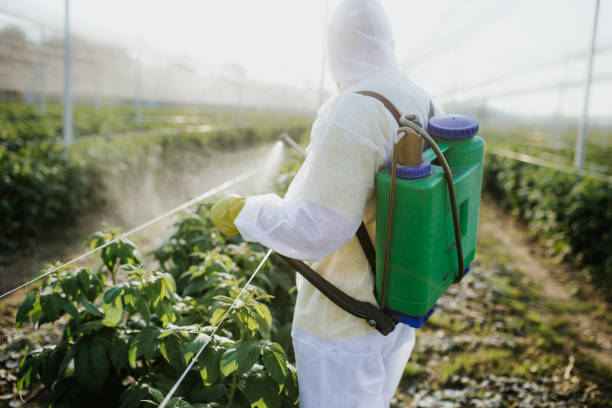 Best Emergency Pest Control  in Lake Riverside, CA